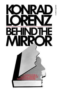 Behind the Mirror Summary