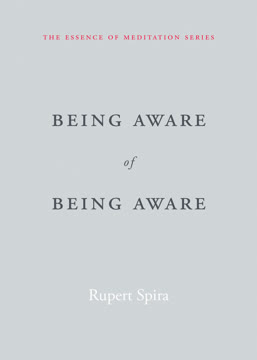 Being Aware of Being Aware Summary