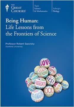 Being Human Summary