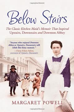 Below Stairs Summary