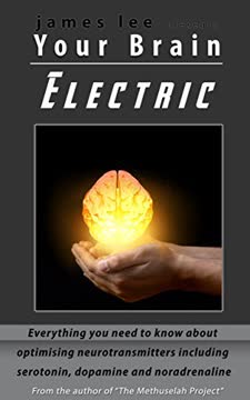 Better Living Through Neurochemistry - A guide to the optimization of serotonin, dopamine and the neurotransmitters that color your world Summary