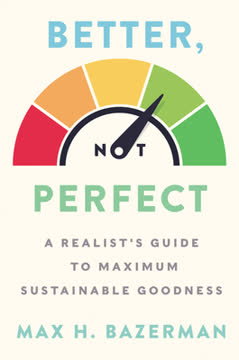 Better, Not Perfect Summary