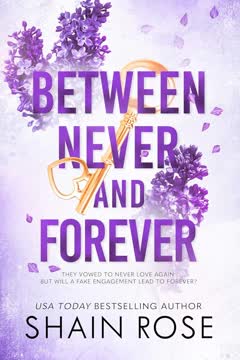 Between Never and Forever Summary