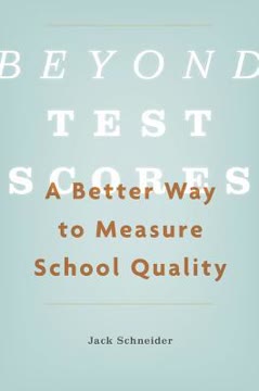 Beyond Test Scores Summary