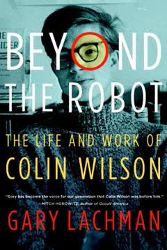 Beyond the Robot Summary