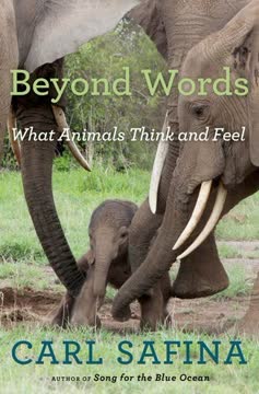 Beyond Words Summary