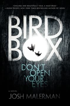Bird Box Summary
