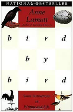 Bird by Bird Summary