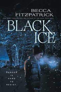 Black Ice Summary