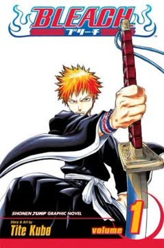 Bleach, Vol. 1 Summary