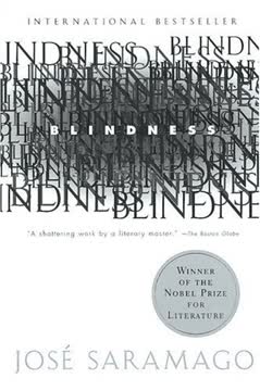 Blindness Summary