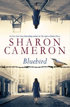 Bluebird Summary