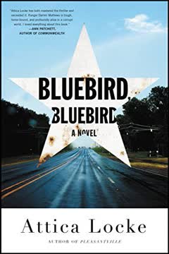 Bluebird, Bluebird Summary