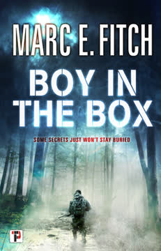Boy in the Box Summary