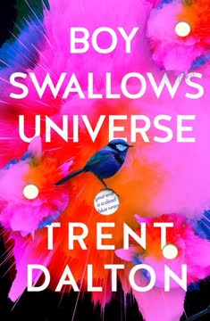 Boy Swallows Universe Summary