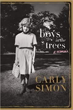 Boys in the Trees Summary