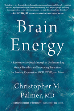 Brain Energy Summary