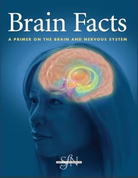 Brain Facts Summary