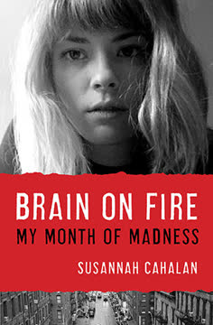 Brain on Fire Summary