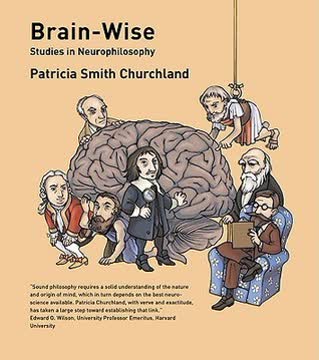 Brain-Wise Summary