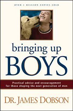 Bringing Up Boys Summary