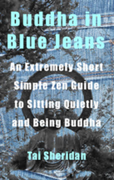 Buddha in Blue Jeans Summary