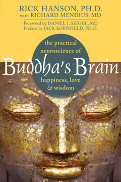 Buddha&#039;s Brain Summary