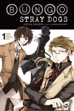Bungo Stray Dogs Light Novels, Vol. 1 Summary