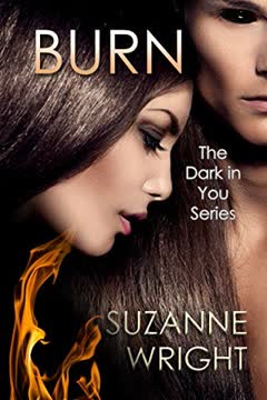 Burn Summary
