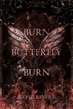 Burn Butterfly Burn Summary