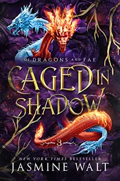 Caged in Shadow Summary