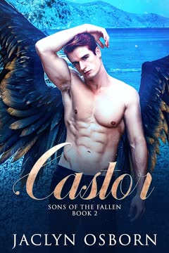 Castor Summary