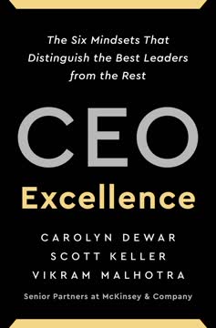 CEO Excellence Summary