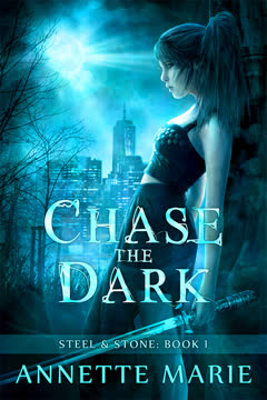 Chase the Dark Summary