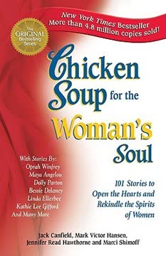 Chicken Soup for the Woman&#039;s Soul Summary
