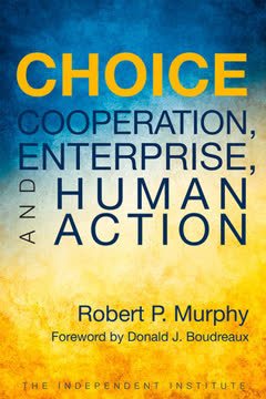 Choice Summary