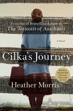 Cilka&#039;s Journey Summary