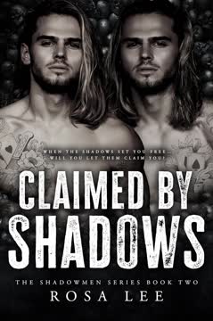 Claimed by Shadows Summary