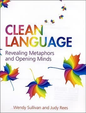 Clean Language Summary
