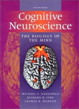 Cognitive Neuroscience Summary