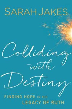 Colliding With Destiny Summary