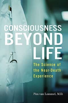 Consciousness Beyond Life Summary