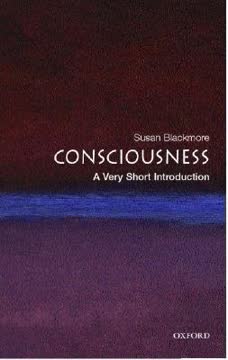 Consciousness Summary