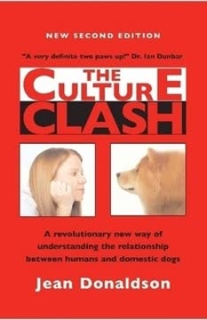 The Culture Clash Summary