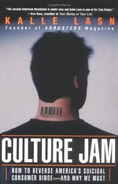 Culture Jam Summary