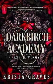 Darkbirch Academy Summary