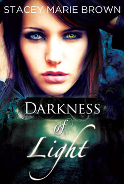 Darkness of Light Summary