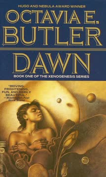 Dawn Summary