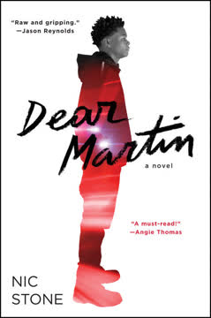 Dear Martin Summary