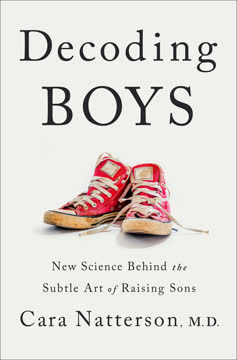 Decoding Boys Summary